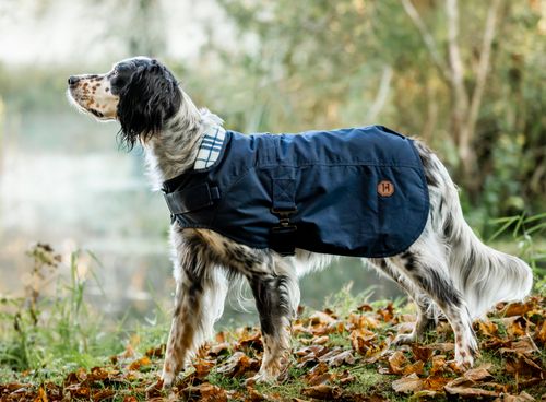 OUTLET: Horseware Newmarket Heritage Dog Coat - XX Large - Navy/Witney Navy