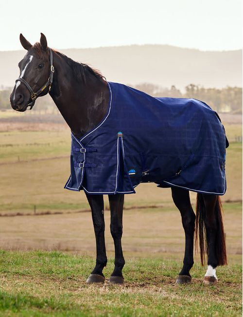 OVERSTOCK: Weatherbeeta Comfitec Prelim Turnout 220g - 63 - Navy Embossed Plaid