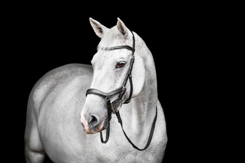 Horseware Micklem Competition Bridle - Black