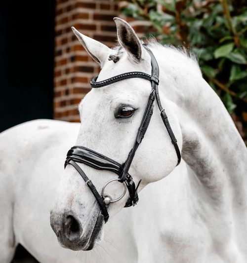 Horseware Diamante Flash Bridle - Black/Black