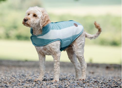 Horseware Newmarket Dog Fleece - Witney Dynasty