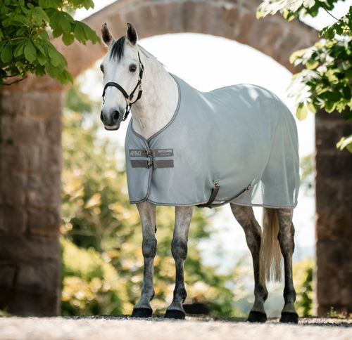 Amigo AirNet Cooler - Heather Blue/Titanium Grey/Silver