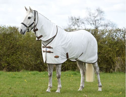 OUTLET: Weatherbeeta Comitec Tyro Mesh Combo Neck - 63 - White/Green/Burnt Orange
