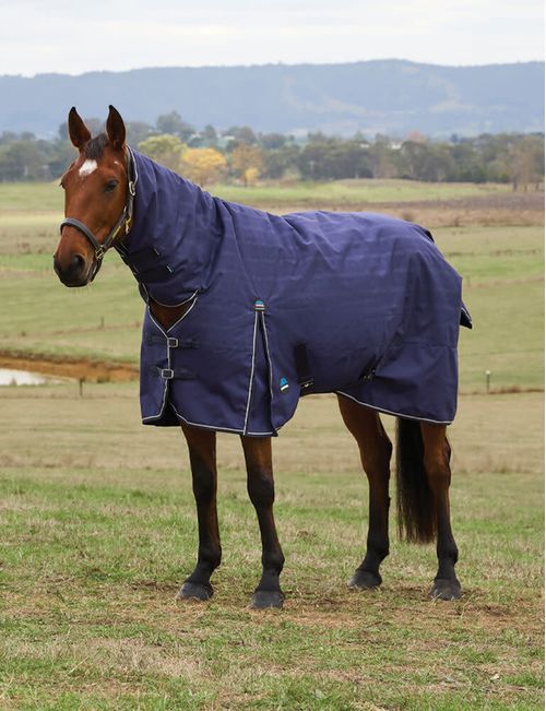 BARGAIN: Weatherbeeta Comfitec Prelim Turnout Combo 0g - 60 - Navy Embossed Plaid