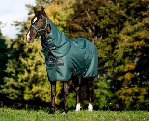 BARGAIN: Amigo Ripstop 900D Plus Pony Turnout 50g - 60 - Dynasty Green/Navy/Silver