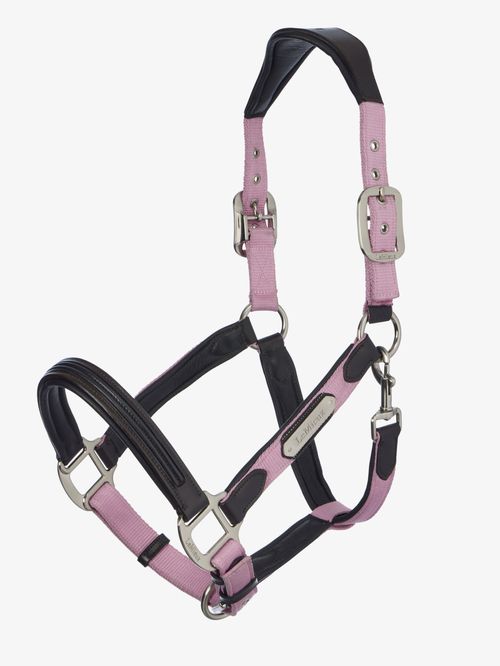LeMieux Capella Halter - Fondant