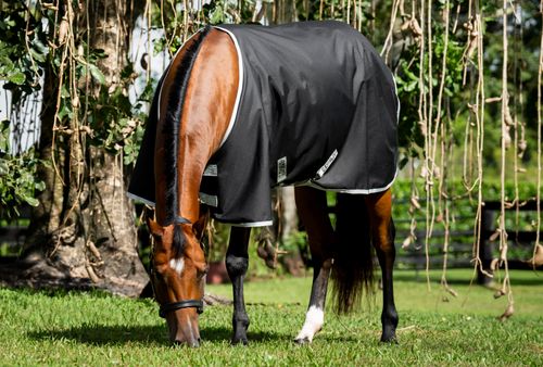 BARGAIN: Amigo Ripstop 900D Stock Horse Turnout 0g - 76 - Black/Silver