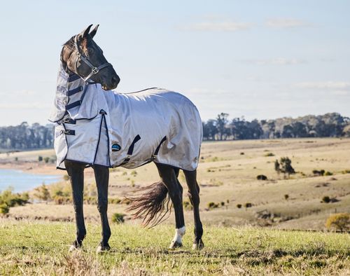 Weatherbeeta Comfitec Hexi Shield Fly Sheet Combo - Silver/Navy/White