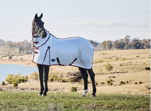 Weatherbeeta Comfitec Essential Fly Sheet Combo - White/Burgundy