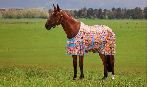 Saxon Mesh w/Belly Wrap Fly Sheet - Technicolour Horses Print