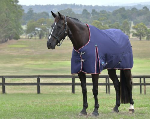 Weatherbeeta Comfitec Essential Turnout Combo 50G - Navy/Burgundy