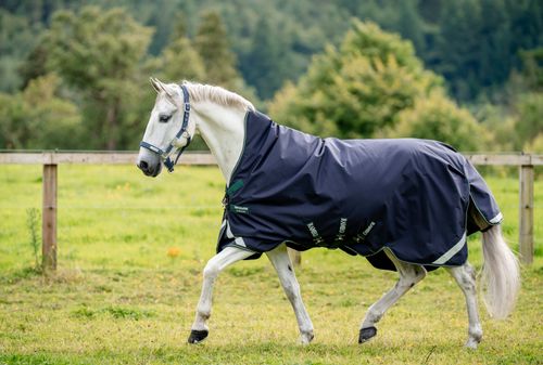 Rambo 1680D Wug Turnout 0g - Navy/Hunter Green/Silver