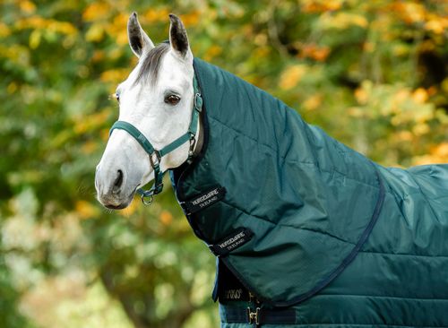 OVERSTOCK: Amigo Ripstop Insulator Stable Hood 200g - X Large - Dynasty Green/Navy/Silver