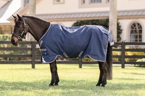 BARGAIN: Rhino Pony Turnout 0g - 48 - Navy/Titanium Grey/Classic Blue
