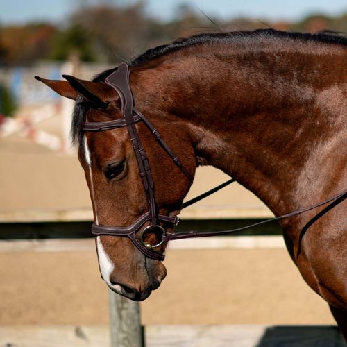 OVERSTOCK: M. Toulouse Pole Freedom Snaffle Bridle - Large Horse - Chocolate