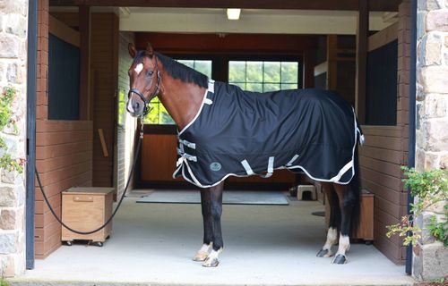 OVERSTOCK: Centaur TG2 Horse Blanket - 72 - Black