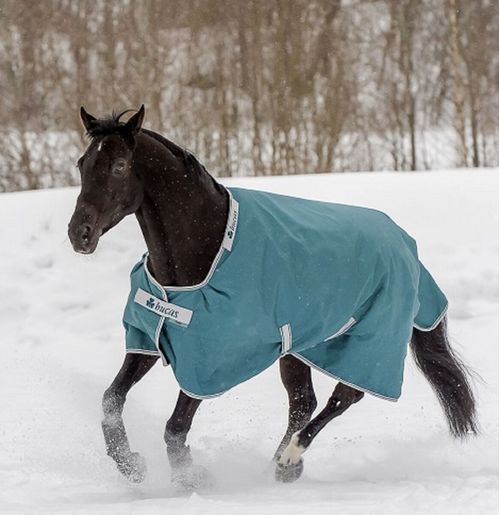 BARGAIN: Bucas Atlantic Turnout 400G - 75 - Spruce