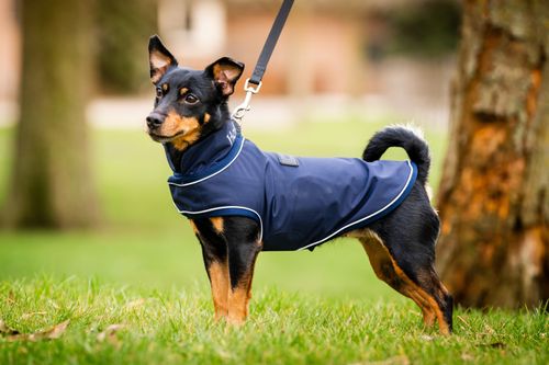 OUTLET: Horseware Signature Dog Rain Coat - XX Small - Navy