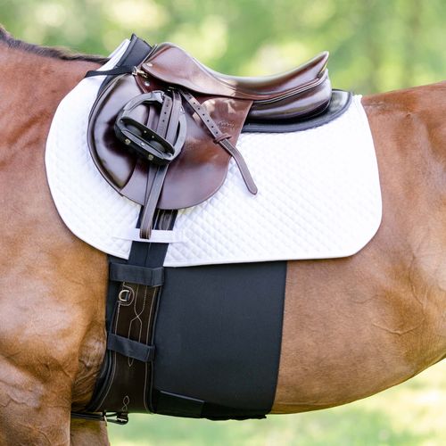 EquiFit BellyBand+ - Black
