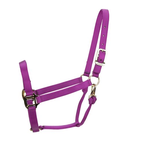 Shires ARMA Non Adjustable Nylon Halter - Raspberry