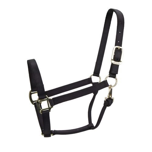 Shires ARMA Non Adjustable Nylon Halter - Black
