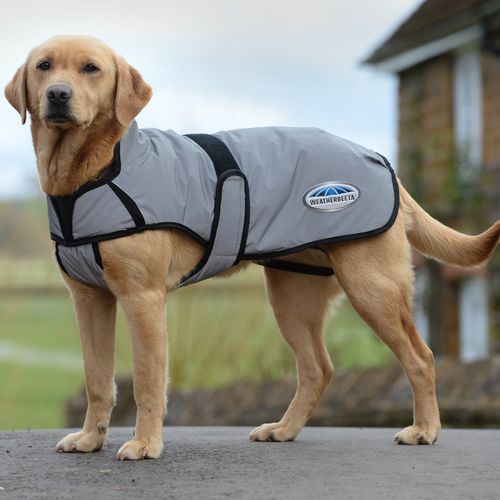 OUTLET: Weatherbeeta Comfitec Reflective Dog Coat Medium - 14 - Silver