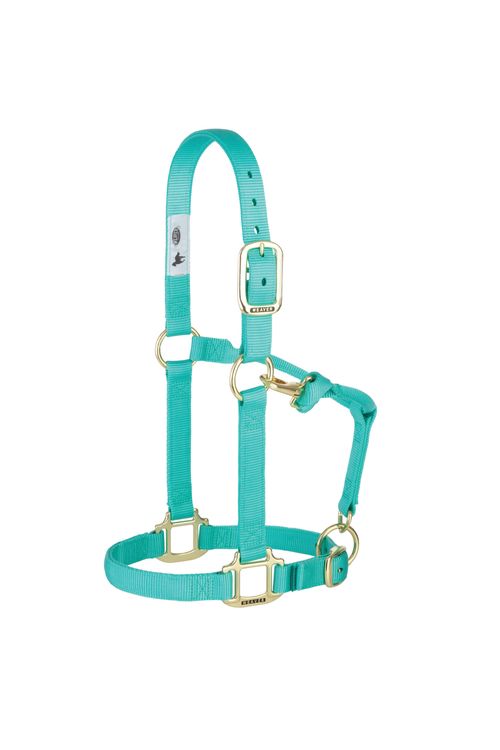 Weaver Original Adjustable Halter - Mint