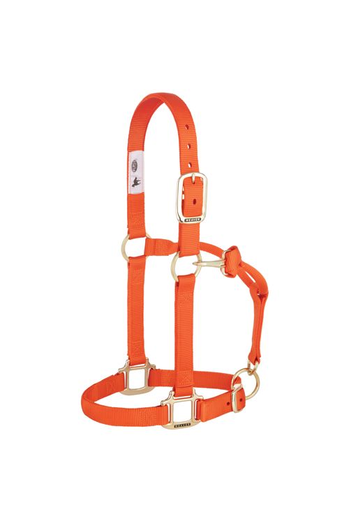 Weaver Original Adjustable Halter - Orange
