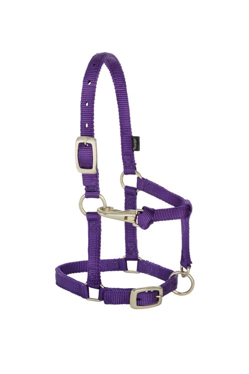 Weaver Miniature 5/8" Original Adjustable Halter - Purple