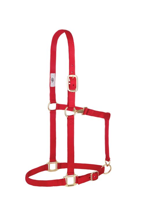 Weaver Nylon 1" Adjustable Draft Halter - Red