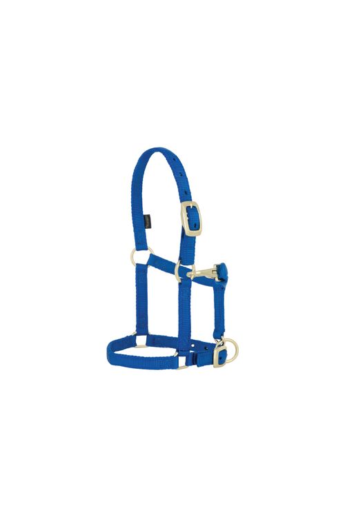 Weaver Miniature 5/8" Original Adjustable Halter - Blue