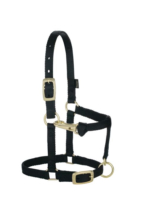 Weaver Miniature 5/8" Original Adjustable Halter - Black