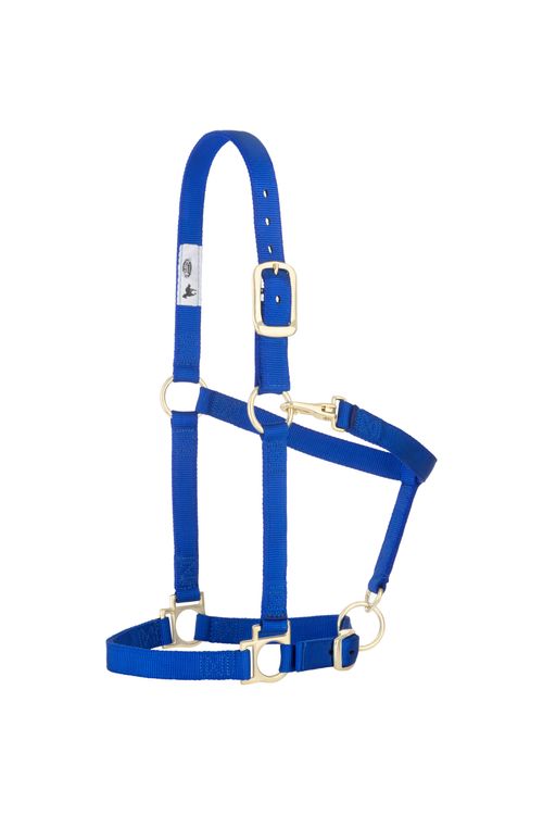 Weaver Basic Adjustable Halter - Blue