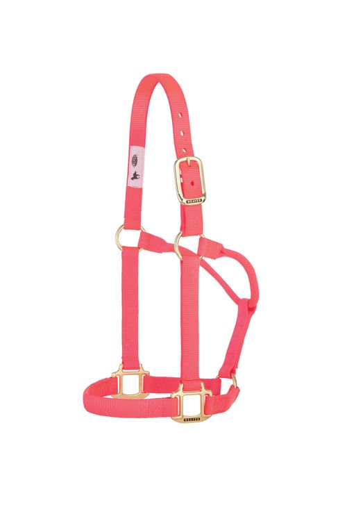 Weaver Original Non-Adjustable Halter - Diva Pink