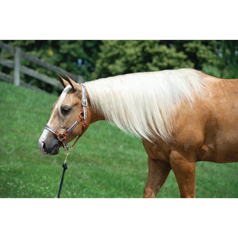 Main
