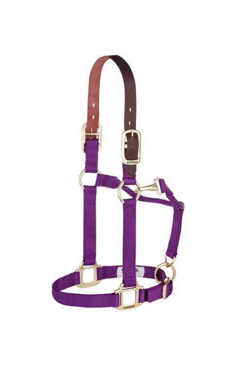 Weaver Breakaway Original Adjustable Halter - Purple