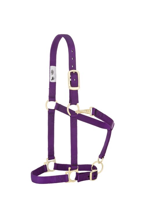 Weaver Basic Adjustable Halter - Purple