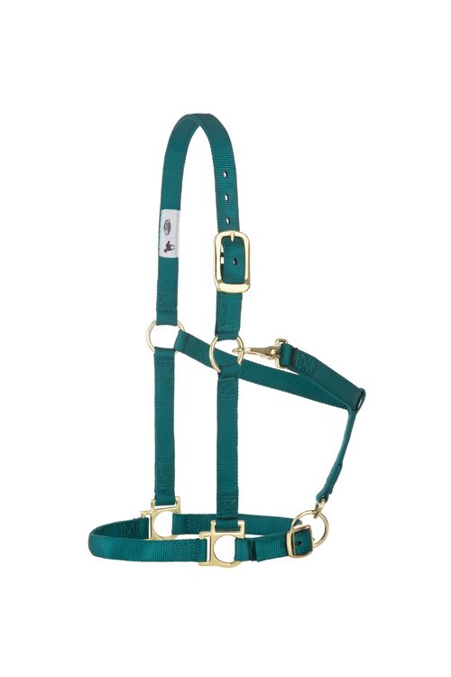 Weaver Basic Adjustable Halter - Teal