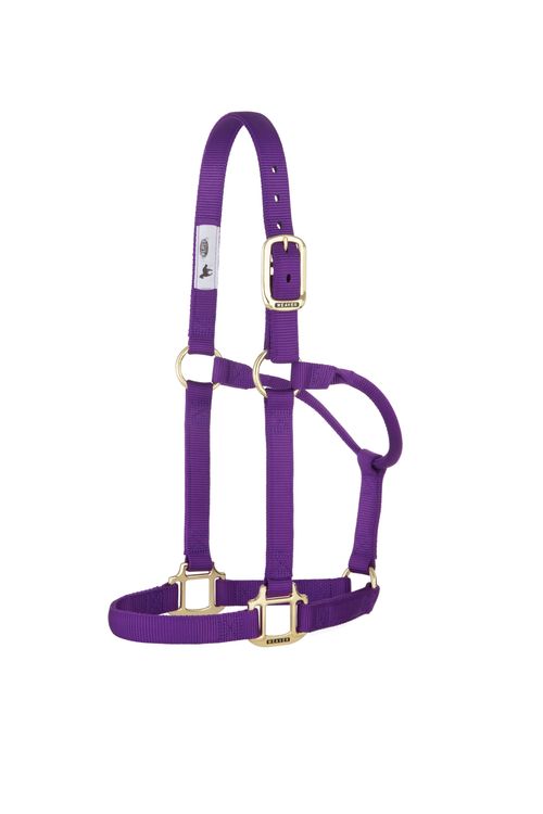 Weaver Original Non-Adjustable Halter - Purple