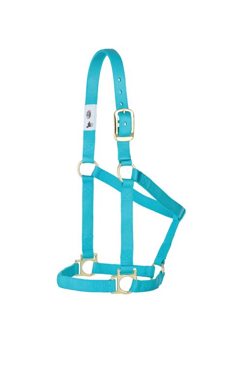 Weaver Basic Non-Adjustable Halter - Turquoise