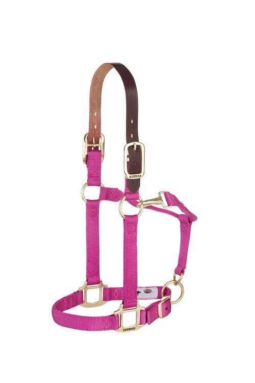 Weaver Breakaway Original Adjustable Halter - Raspberry