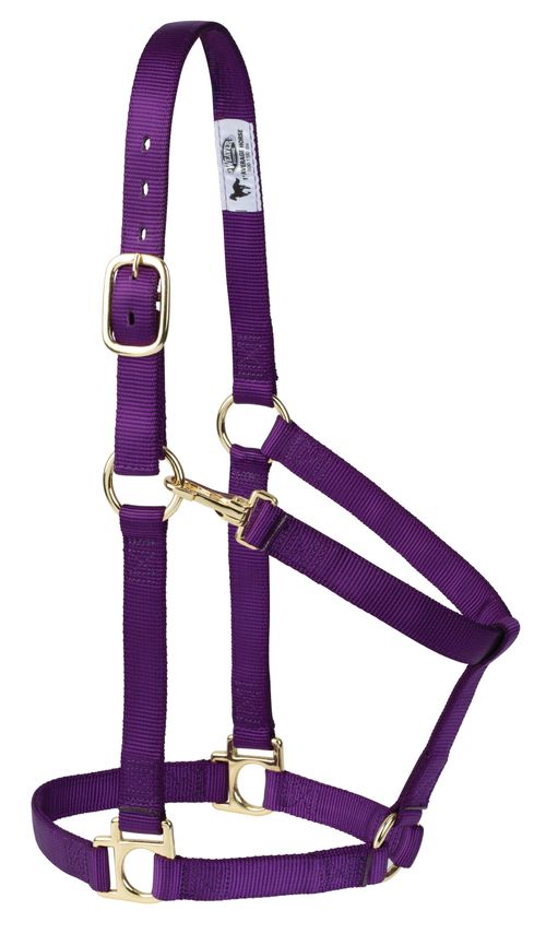Weaver Poly Non-Adjustable w/Throat Snap - Purple