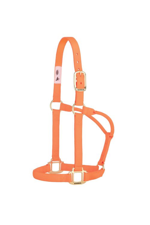 Weaver Original Non-Adjustable Halter - Bright Orange