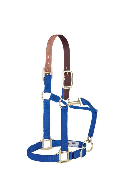 Weaver Breakaway Original Adjustable Halter - Blue