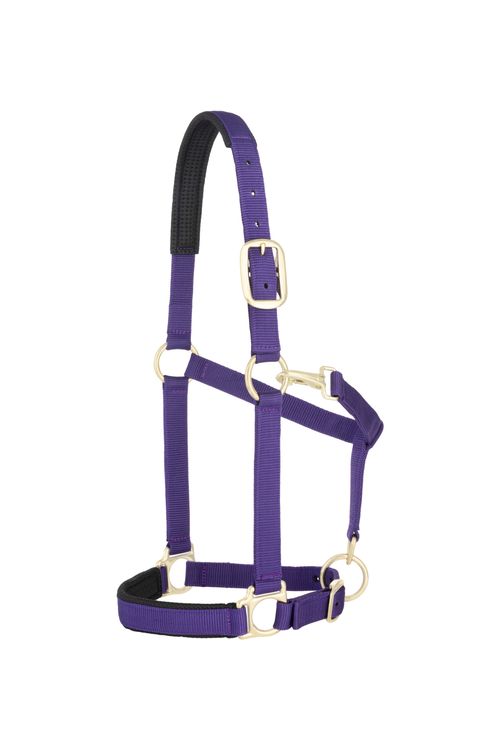 Weaver Padded Adjustable Halter - Purple