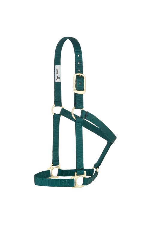 Weaver Basic Non-Adjustable Halter - Teal