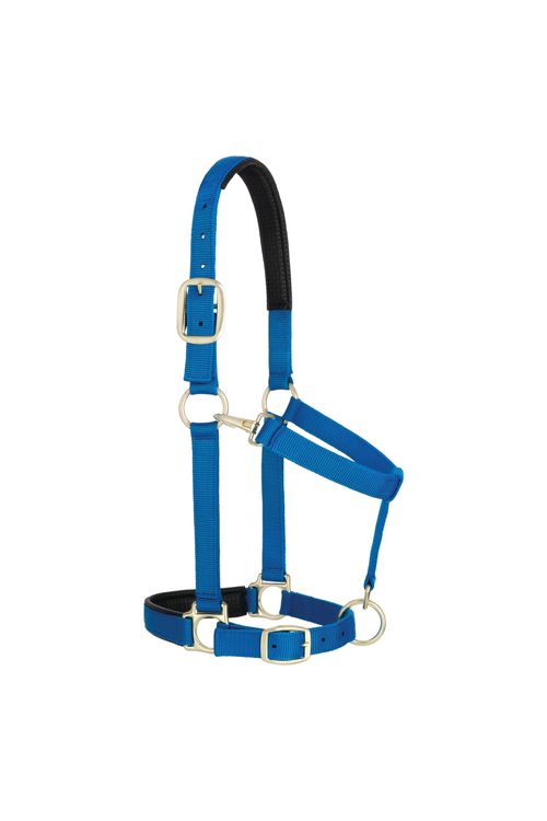 Weaver Padded Adjustable Halter - Blue