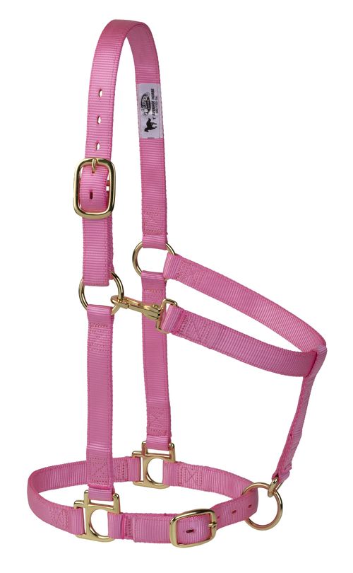Weaver Poly Adjustable Halter - Pink