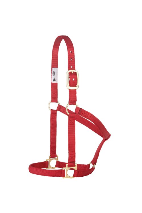 Weaver Basic Non-Adjustable Halter - Red