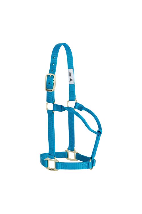 Weaver Original Non-Adjustable Halter - Hurricane Blue